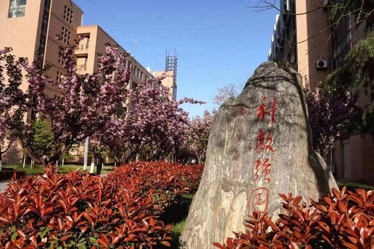 点击了解:陕西科技大学王牌专业有哪些?这个太强了!